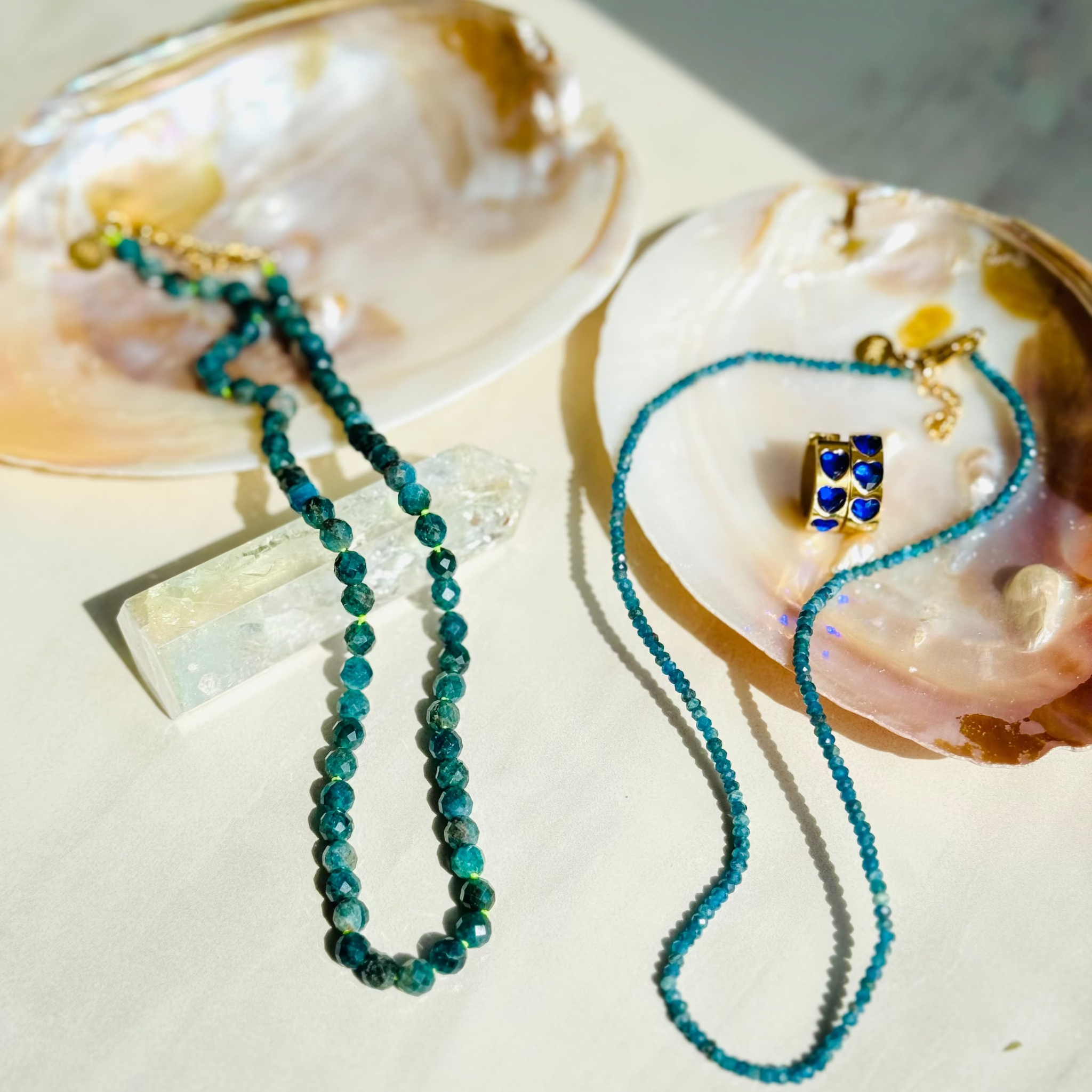 Two necklaces on seashells with a blurred background