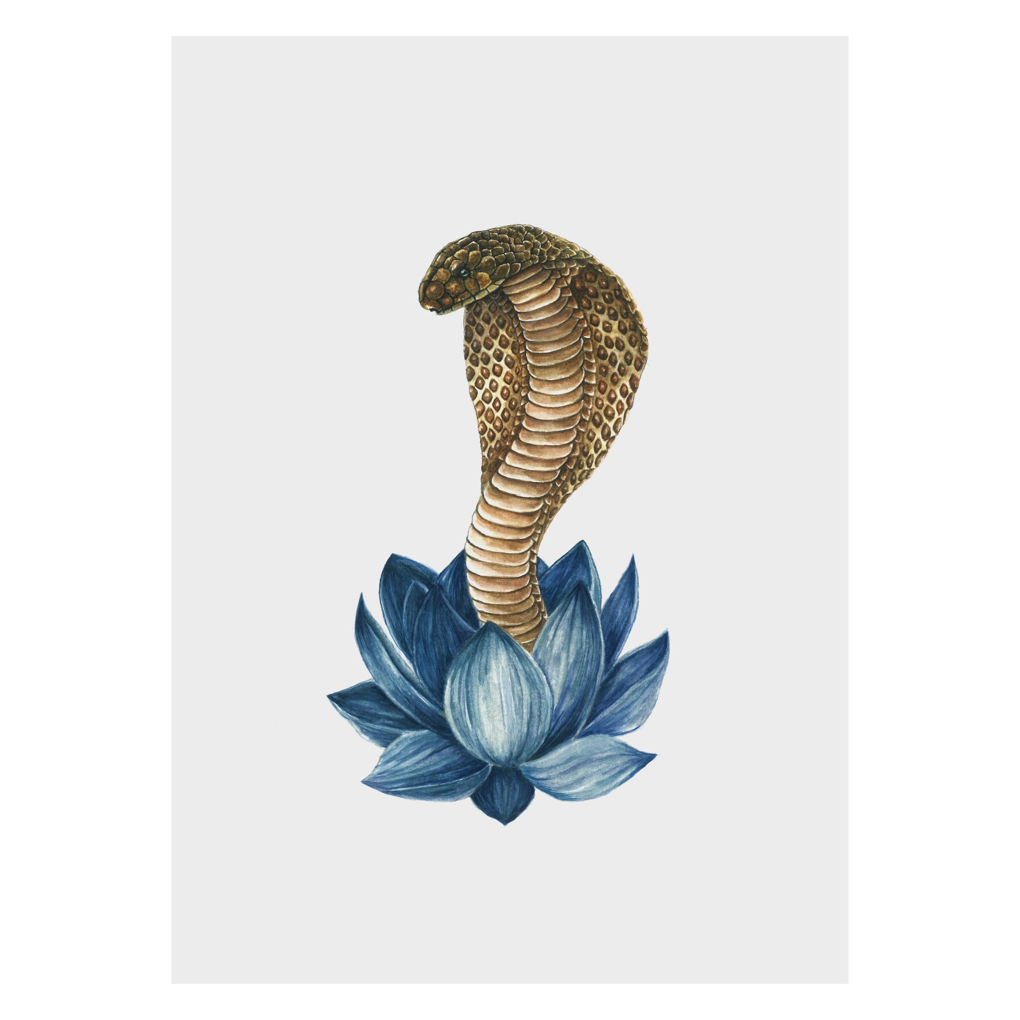 Illustration of a cobra on a blue lotus flower with a white background