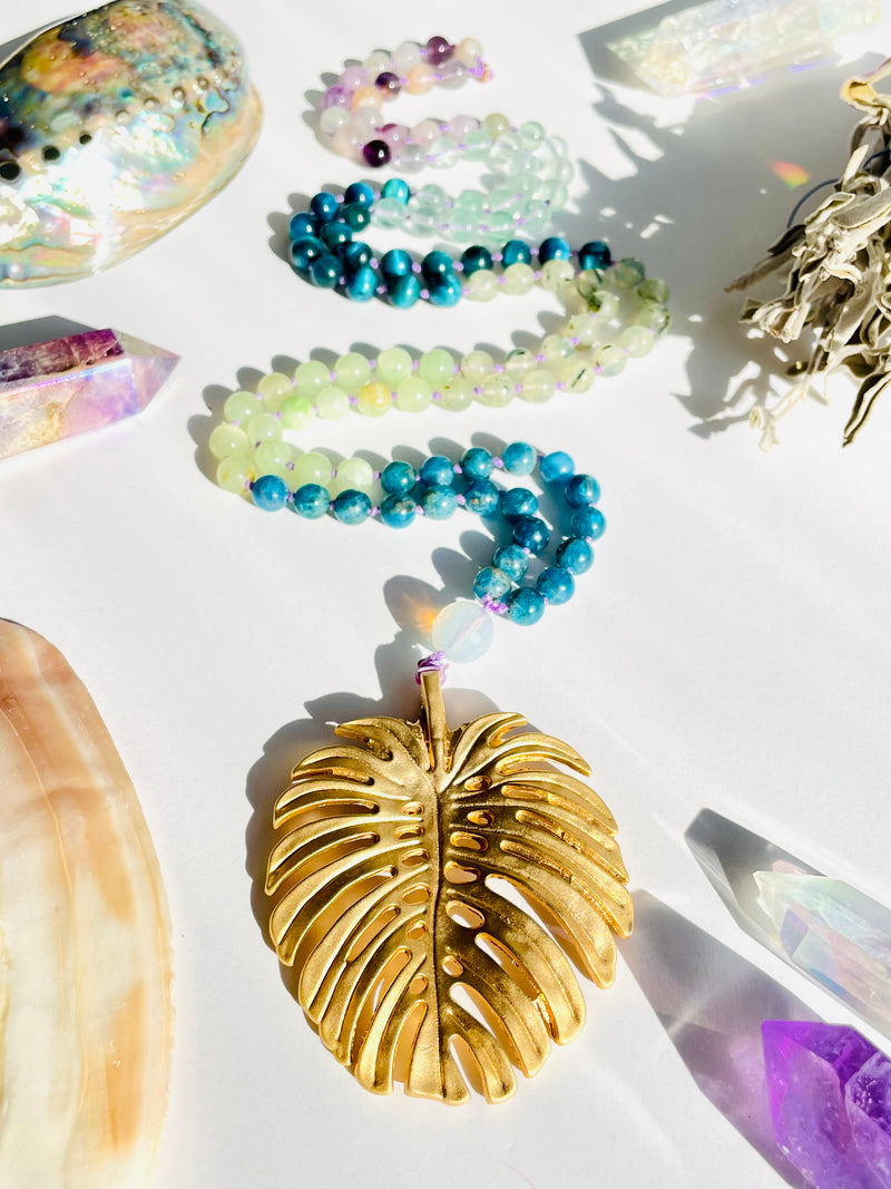 Monstera Mala