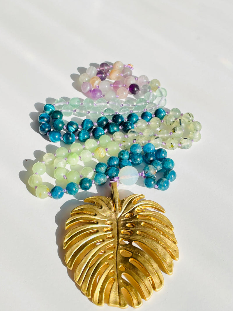 Monstera Mala
