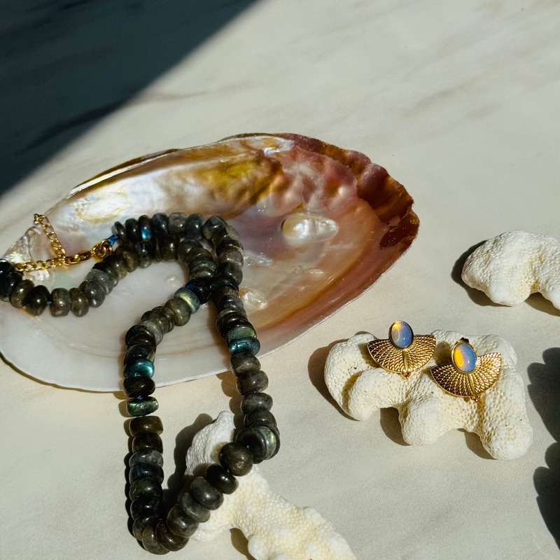 Jewelry set including a necklace and earrings on a shell and coral background