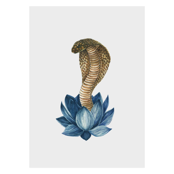 Serpent Cobra Reborn Print