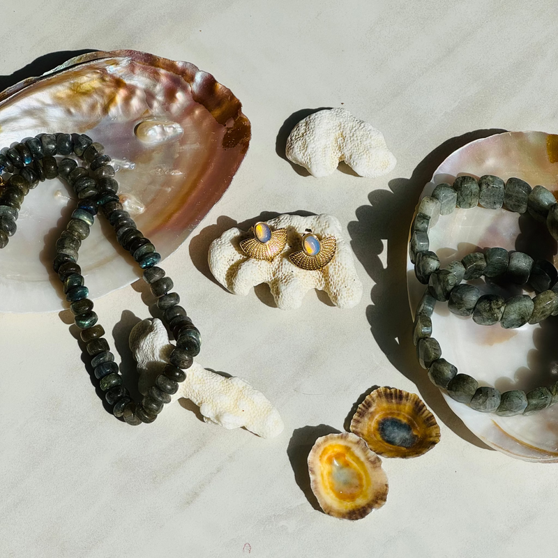 Seashells and bracelets on a textured surface