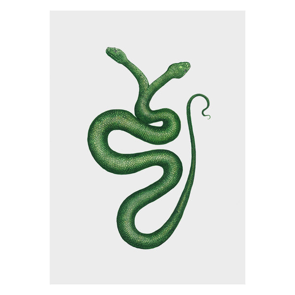 Two Headed Serpent Print