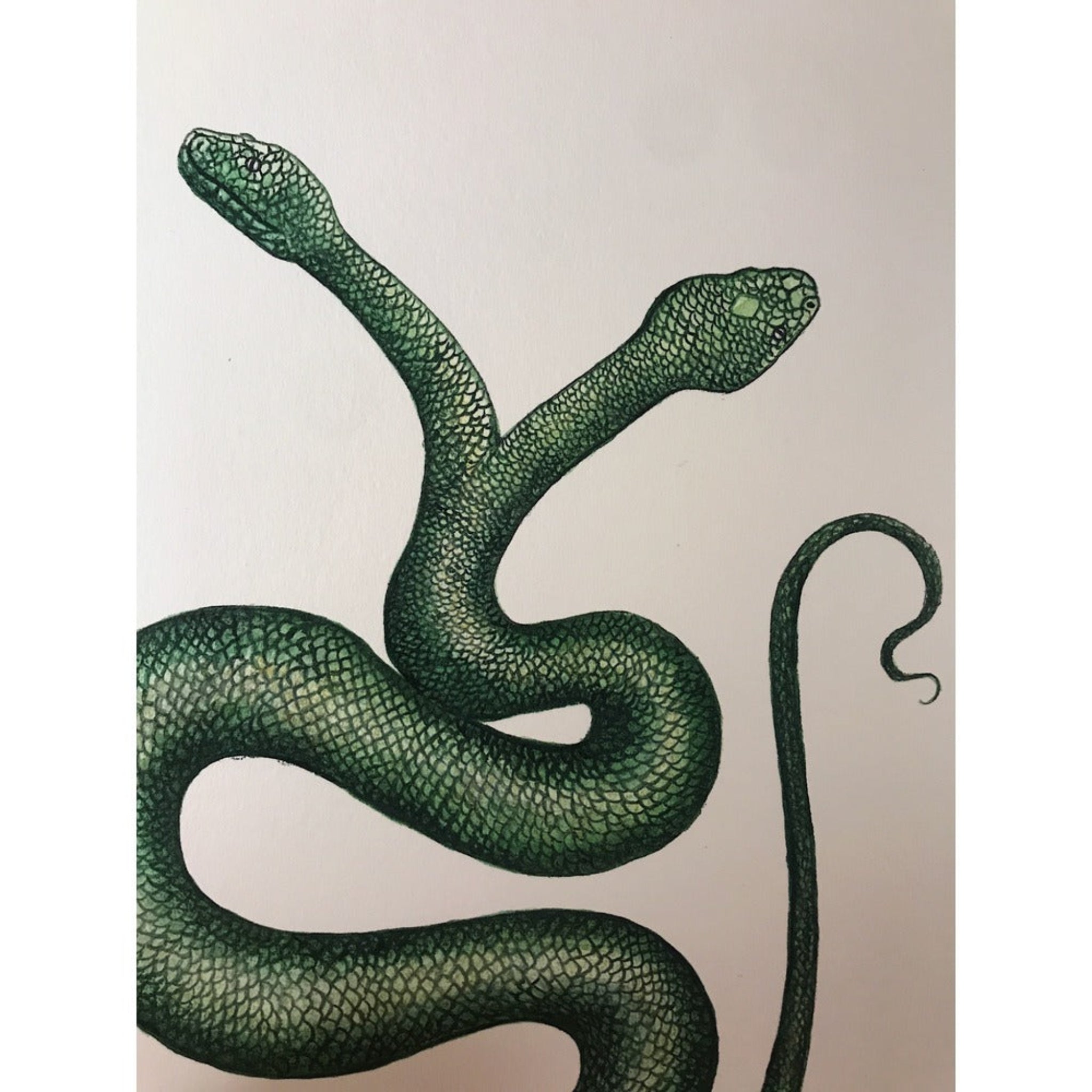 Artistic illustration of a green snake on a beige background